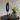 Modern LED table lamp styled with decorative florals – compact lighting for dining tables or entryway decor.